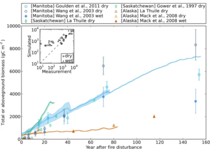 Fig. 5. Simulated vs. observed forest floor carbon stock as a function of time after fire