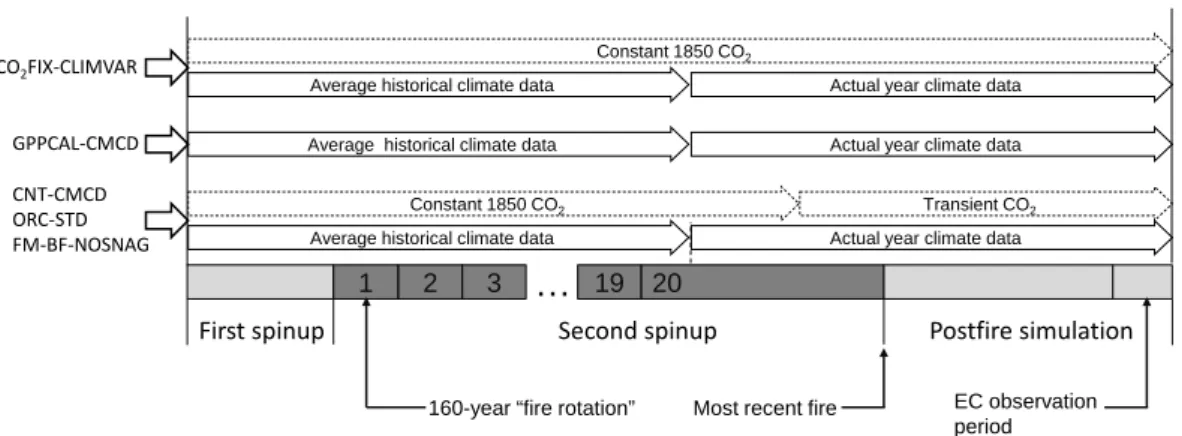 Fig. 1. Illustration of the simulation protocol, climate forcing and atmospheric CO 2 forcing data for various simulations