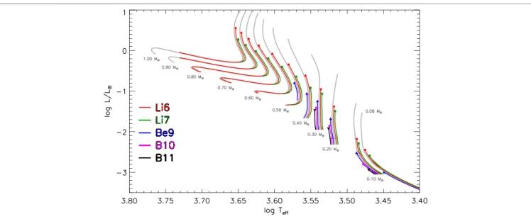 Figure 10 shows the temporal evolution of the temperature at the bottom of the convective envelope, T bce , for stars with different masses between 0.08 and 1.0 M ⊙ at solar metallicity, with indicated the approximate values for the Li, Be and B burning te