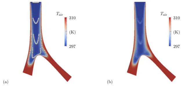 Figure 6. Local effects of the aerosol on the air temperature, here at time 0.25 + ∆t (in seconds).