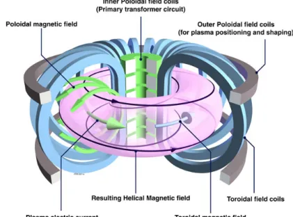 Fig. 1. Schematic representation of a tokamak