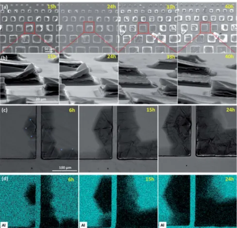 Fig. 2c shows how localized defects located at, or close to, the edges can also speed up chemical exfoliation