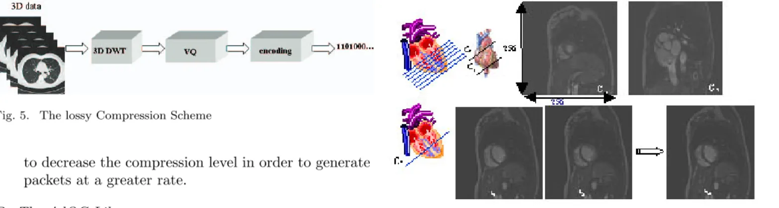 Fig. 6. MRI acquisition composed of 7 short axis slice levels and 30 cardiac phases at each level.