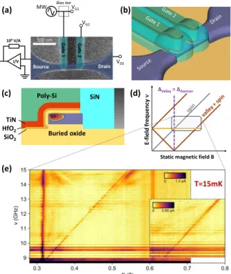 Fig. 6. (a) SEM image after gate patterning and measurement setup     description.  (b)  Schematic  view  of  the  partially  wrapping  gates