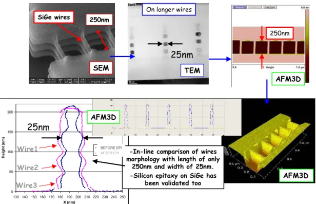 Figure 19: Example of a complex multiwires device that has been characterized with the 3D-AFM technique  6