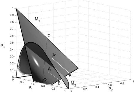 Fig. 1.4. Sequence of iterates close to the manifold M 1 : A, B for z 2k , A ′ , B ′ for z 2 k +1 ; the line segment C, C ′ corresponds to symmetric distributions on M 1 (p 2 = p 3 )