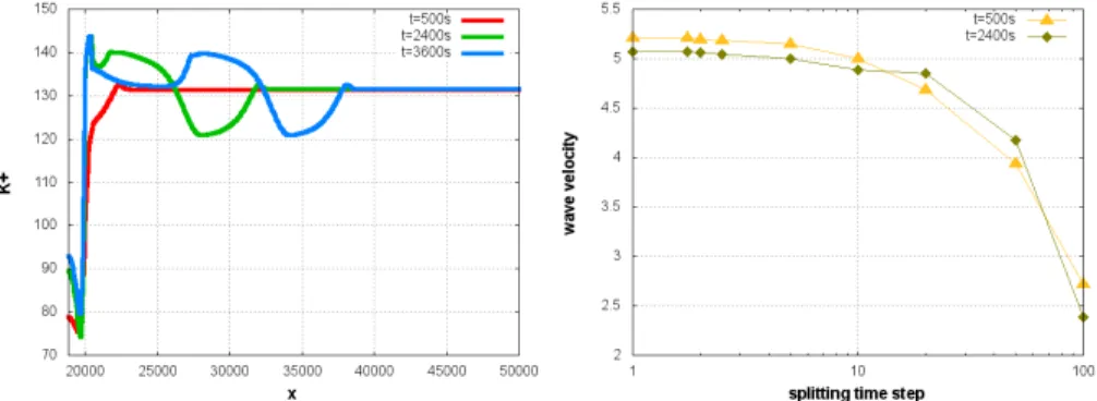 Fig. 3. Time evolution of K + in the neurons along x -axis (left) and corresponding wave velocities (right), obtained by splitting resolution on an uniform grid of 1024 2 .