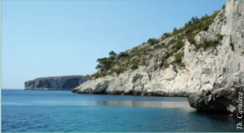 Figure 5 - auréole d’une source sous-marine à la surface de la mer dans les calanques  de Marseille.