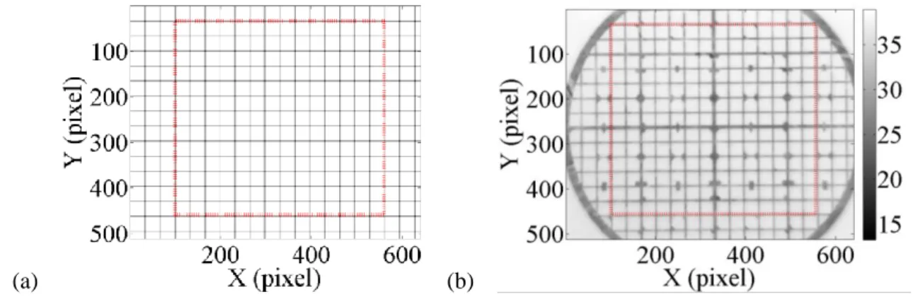 Figure 5: (a) Reference numerical grid and (b) distorted image for the IR camera 