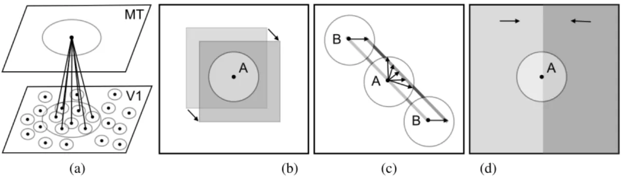 Figure 2: Estimation motion from local observations: (a) Illustration of a pooling step with the corre- corre-sponding receptive fields; (b) blank wall problem: at position A, the absence of texture gives no  informa-tion to estimate moinforma-tion; (c) ap