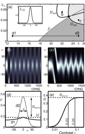 Figure 7: Bifurcation study and contrast response for simple input I 1D (see inset of (a)) with input gain k I = 0.01