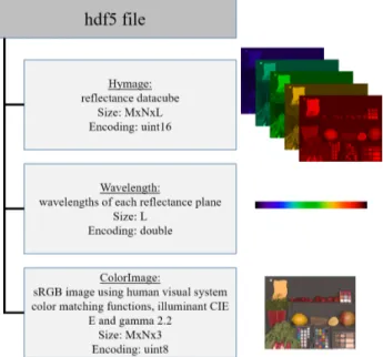 Figure 11: Image samples