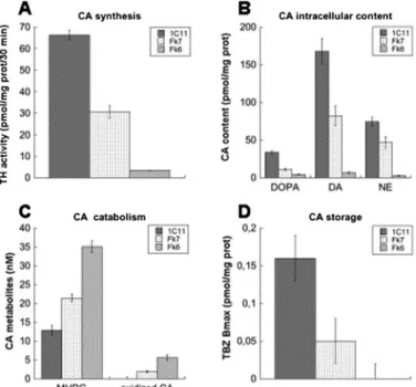 FIGURE 5. Evaluation of noradrenergic functions in 1C11Fk NE cells.