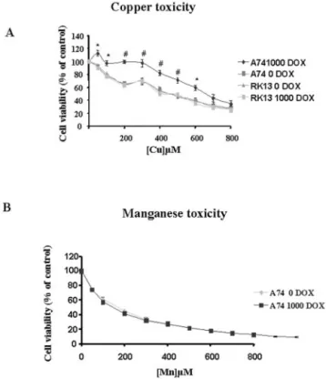 Table II). So, only under high copper concentrations PrP C expression increases copper uptake in the cell