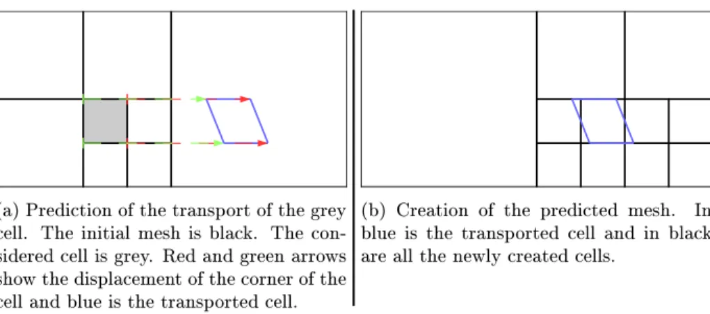 Figure 8: Drawing of the transport prediction of the grey cell.