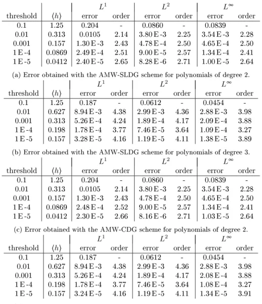 Table 3: Error for the Burgers' equation with AMW-SLDG and AMW-CDG schemes for polynomials of degree 2 and 3.