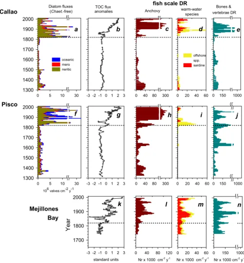 Fig. 6. Pelagic ecosystem proxies off Peru (Callao, a–e; Pisco, f–j) and in Mejillones Bay, Northern Chile (k–n)