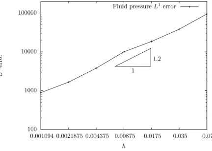 Figure 8: Convergence of the fluid pressure L 1 -error