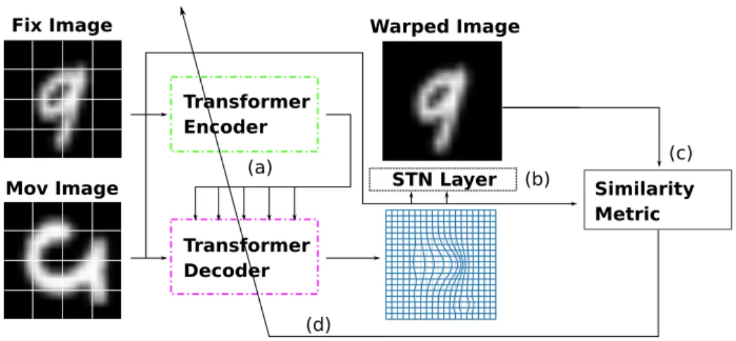 Fig. 2. The Transformer based image registration framework. In step (a): The input images are converted to deformation feature maps by the Transformer