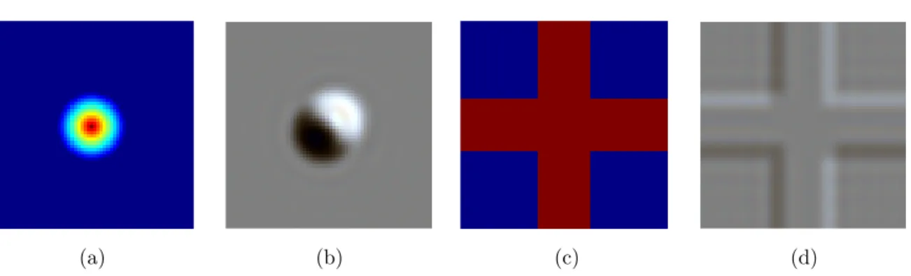 Figure 2. Phase functions of two phantom specimens and corresponding noiseless DIC color images: (a) phase function of the “cone” object, (b) DIC image of the cone, (c) phase function of the “cross” object, (d) DIC image of the cross