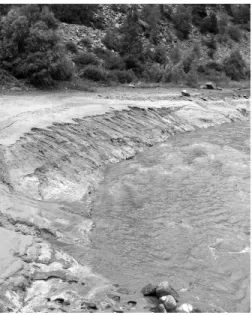 Figure 1. Example of silt deposition pattern in reservoirs (water flows from the back to the front).