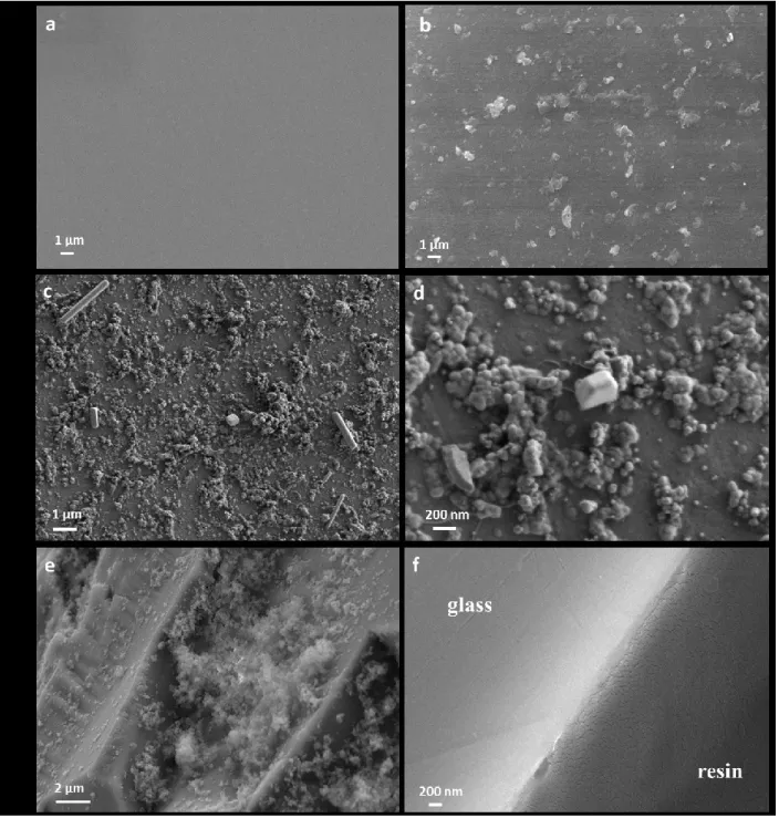 Figure 2. Scanning electron micrographs (back-scattered electrons) of BG B  glass: a) a pristine coupon, b) a pristine  grain, c) and d) the surface of a coupon altered for 600 days, e) the surface of a grain altered for 700 days, and f) the 