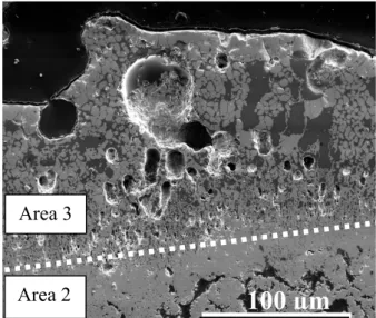 Fig. 10: SE SEM observation of porosities at the surface of the oxidized sample A. 