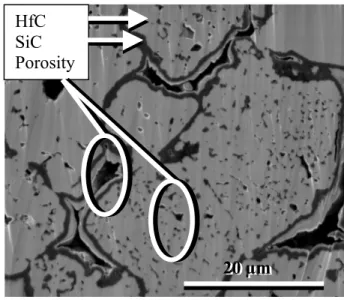 Fig. 6: polished section of monolithic sample observed by SEM. 