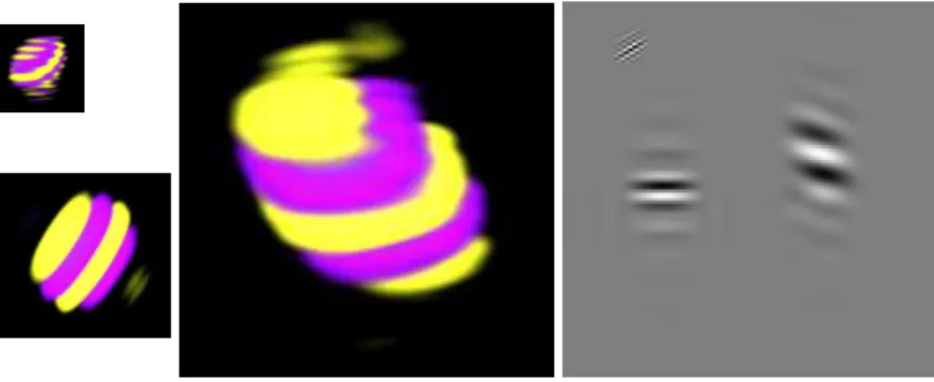 Figure 8: Examples of RidCurvelet atoms at different scales and orientation. The rendering is similar to that of figure 5.