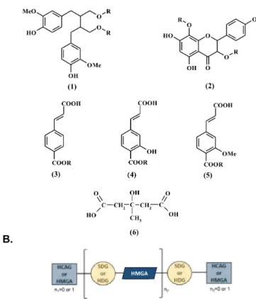 Figure 1. Structure of phenolic compounds involved in the lignan macromolecular complex.