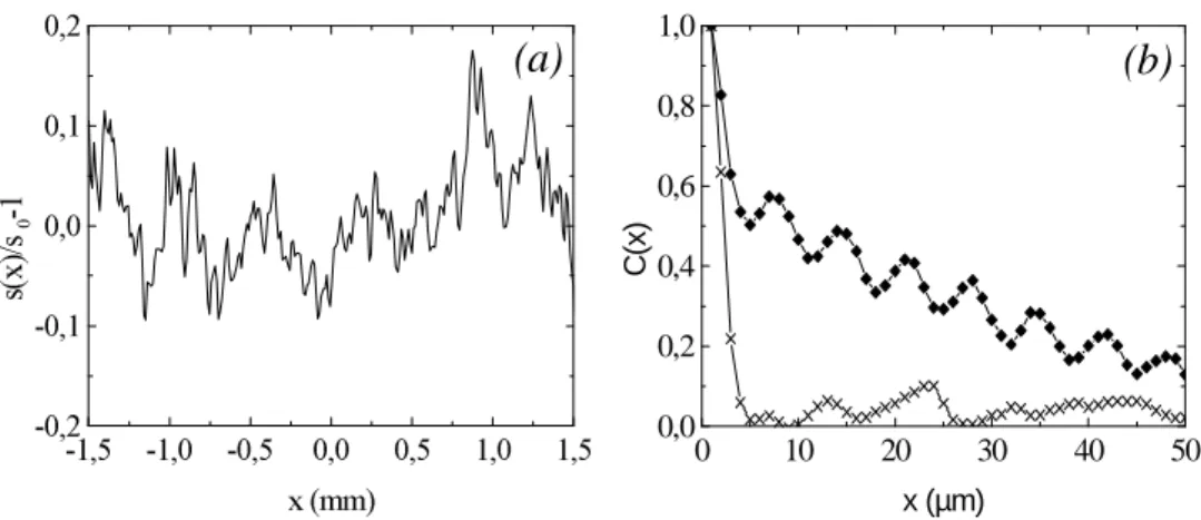 FIG. 5: Figure (a) shows typical relative intensity fluctuations of a laser beam once the smooth Gaussian profile is removed.