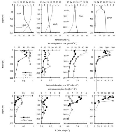 Fig. 3. Example of vertical distribution of some physical (temperature, sigma theta) and biolog- biolog-ical (Tchla, bacterial abundance, leucine incorporation rates, primary production – PP deck , see methods -) variables at stations meso to eutrophic MAR