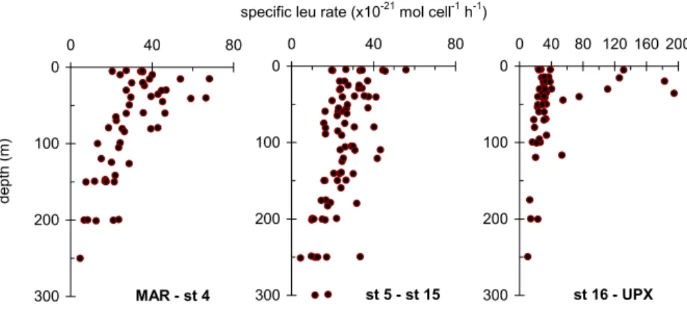 Fig. 4. Vertical distribution of specific leucine incorporation rates (x 10 −21 mol leucine cell −1 h −1 )