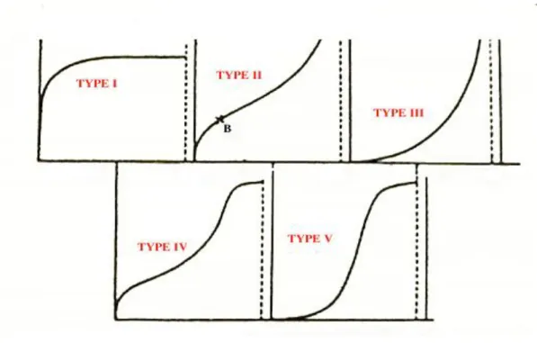 Figure III.1 : classification des isothermes d'adsorption 