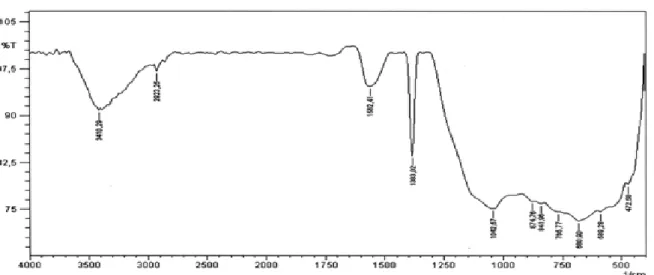 Figure IV.2 : Spectre IRTF du charbon actif à base de Marc de raisin. 