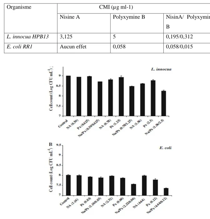 Figure 09 : Croissance de L. innocua HPB13 (A) et E. coli RR1 (B) dans la BST en présence  de nisine A et de polymyxine B [Concentrations (lg ml-1) sont deux, quatre et huit fois plus  élevées que la CMI déterminée pour le des substances antibactériennes e