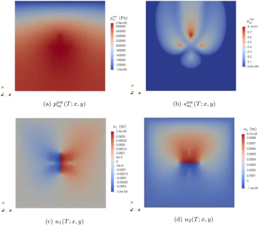 Figure 5: Final non-wetting matrix pressure and saturation (a)-(b), and final (c)-(d) displacement field on the finest mesh