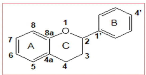 Figure 03 : Structure de base des flavonoïdes (Heim et al., 2002). 