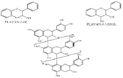 Figure 05: Structure des tanins condensés (Bruneton, 1999). 