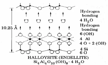 Figure  I.5.  Structure  cristalline  et  type  de  liaisons  entre  feuillets  d’halloysite