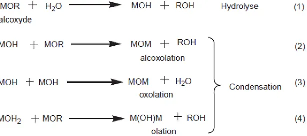 Figure I.2 : Réactions d’hydrolyse et de condensations 