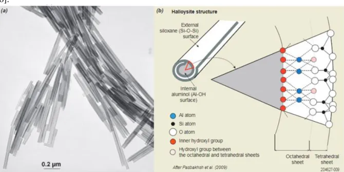 Figure I.6.(a): Nanotubes d'halloysite selon MET; (b): morphologie d'halloysite et structure atomique