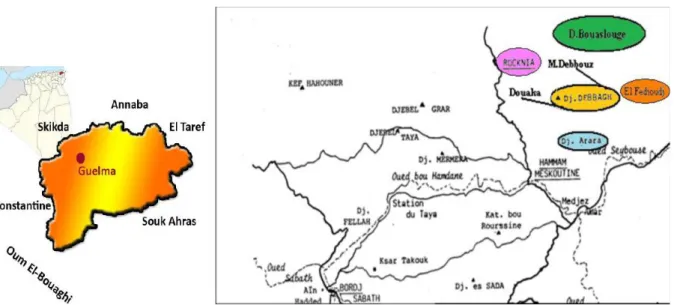 Figure II.1. Carte géographique représentant le gisement de Djebel Debbagh. 