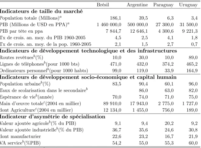 Tab. 3.1 –Indicateurs d’asymétrie dans le Mercosur
