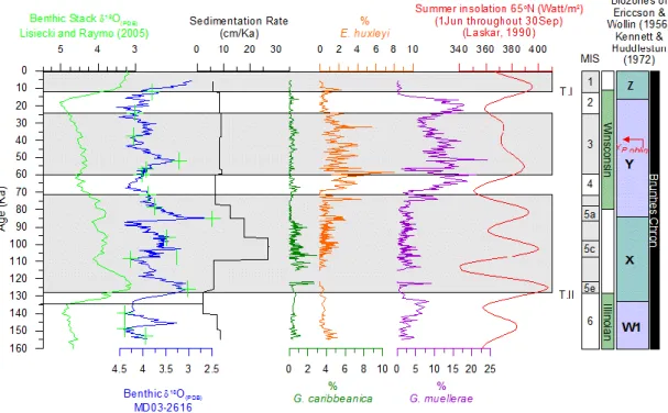 Fig. 2. Benthic δ 18 O stack record (PDB, Lisiecki and Raymo, 2005), benthic δ 18 O record (PDB) from Core MD03-2616 (unpublished data), sedimentation rates at Core MD03-2616, and the relative abundance (%) of the specific index species from calcareous nan