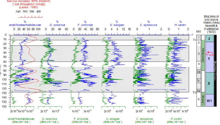 Fig. 4. Relative calcareous nannofossil abundances (%) and nannofossil accumulation rates (NAR, liths cm −2 Ka −1 )