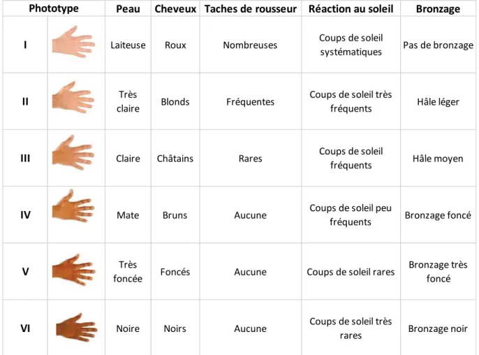 Tableau 1 : Descriptif des différents phototypes cutanés 