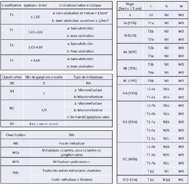 Tableau 2  :  Classification des mélanomes selon la norme TNM et correspondance avec les  stades du mélanome 