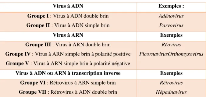 Tableau 02 : Classification des virus par type de génome : 