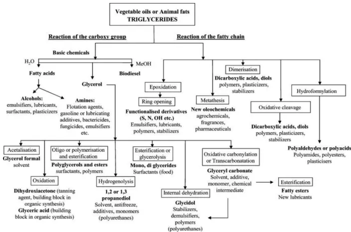 Figure II.9. Chemical ways associated with the production of valuable products from fats and  oils